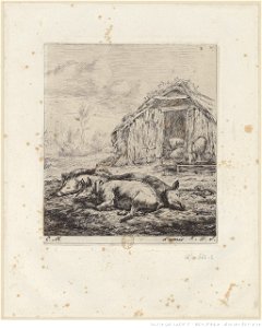 Meryon - Les trois cochons couchés devant l'étable, 2ème état, btv1b55001119v