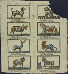 Met wild en tam en huisgediert, Is deez menagerie versiert-Catchpenny print-Borms 0851