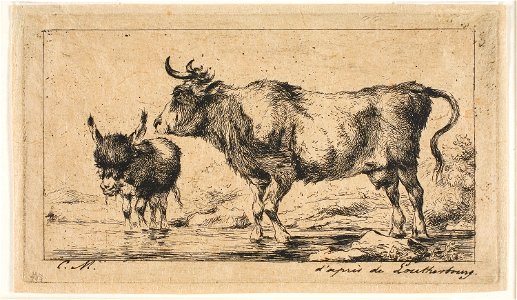 Meryon - The Cow and Ass, 1909.172