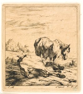 Meryon - The Two Horses, 1909.175