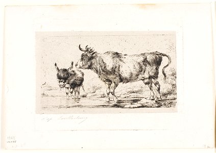 Meryon - The Cow and Ass, 1917.745