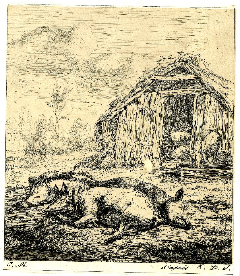 Meryon - Les trois cochons couchés devant l'étable, 1865,0114.120