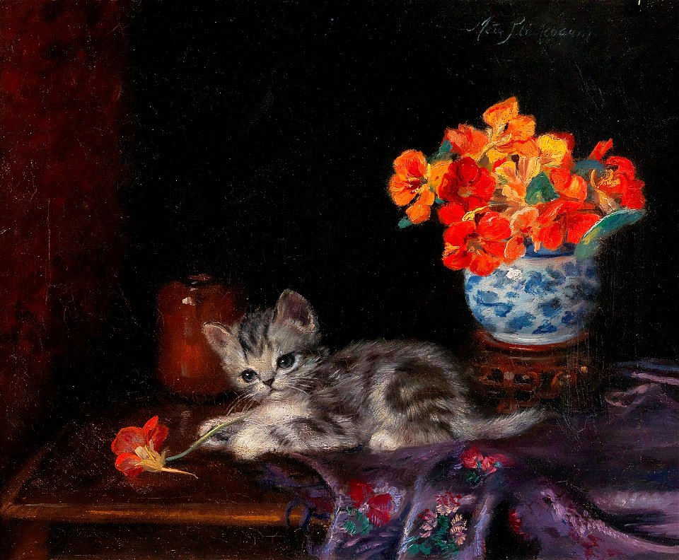 Meta Plückebaum - A Playful Kitten