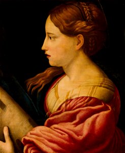 Naar Parmigianino - St Barbara - 354 - Mauritshuis