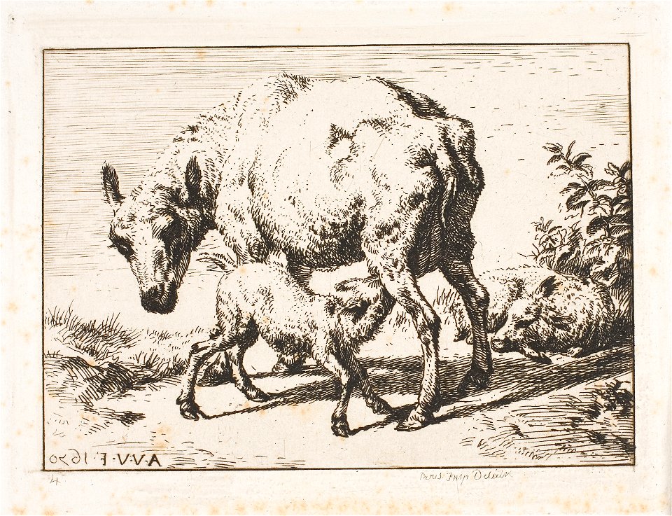 Meryon - The Ewe with Two Lambs, 1927.4356.1