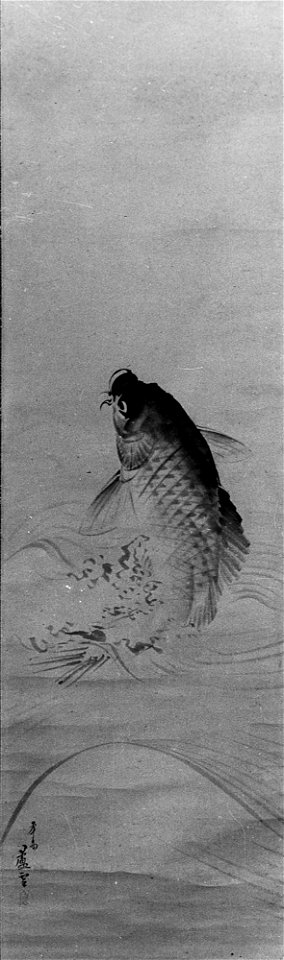 Nagasawa Rosetsu - Carp - 36.100.59 - Metropolitan Museum of Art