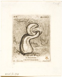 Meryon - The Sickly Cryptogam, 1909.216