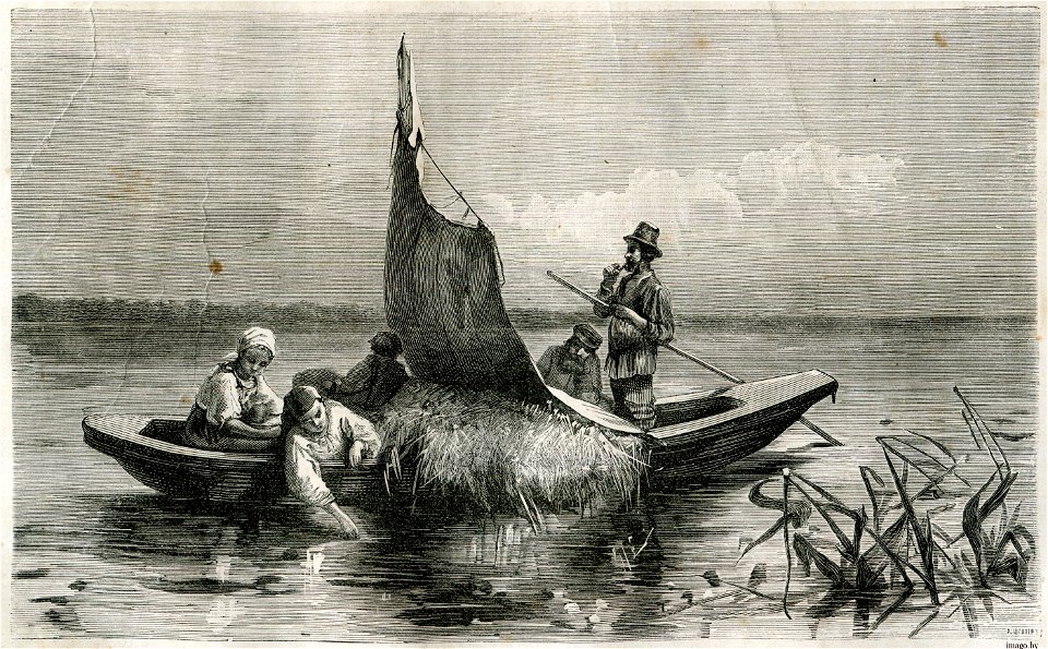 Na race. На рацэ (1882)