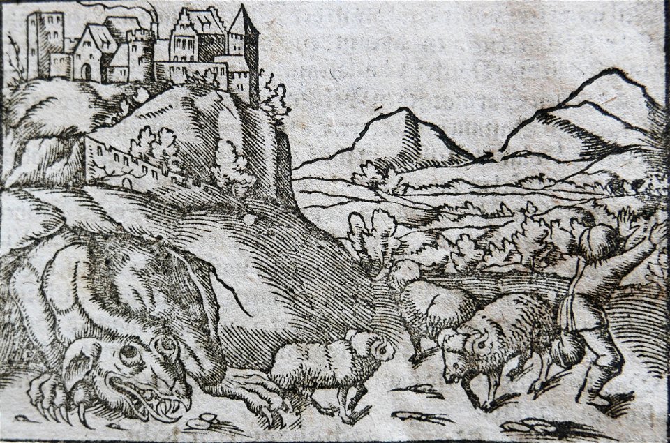 Münster wawelski