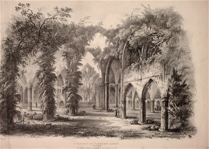 N. E. View of Tintern Abbey, Monmouth