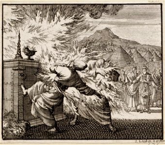 Nadab en Abihu voor het altaar door een hemels vuur gedood, objectnr A 48189