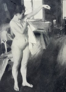 Naket x Anders Zorn