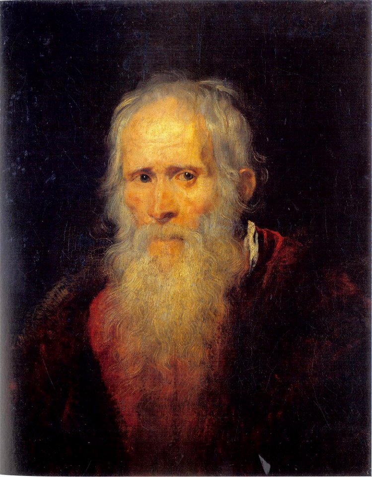 Naar Peter Paul Rubens - Portret van een baardige oude man - ГЭ-553 - Hermitage Museum