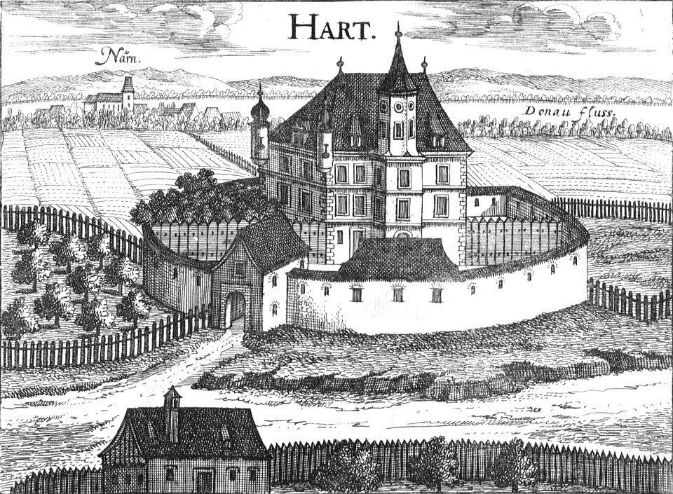 Naarn Vischer Stich Hart