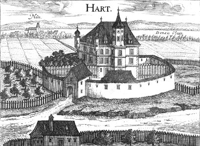 Naarn Vischer Stich Hart
