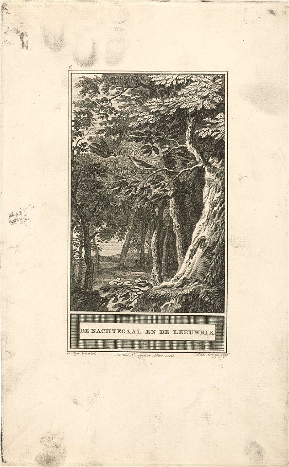 Nachtegaal en een leeuwerik in het bos