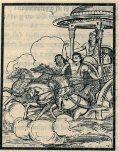 Nala very fastly drives the chariot of His master