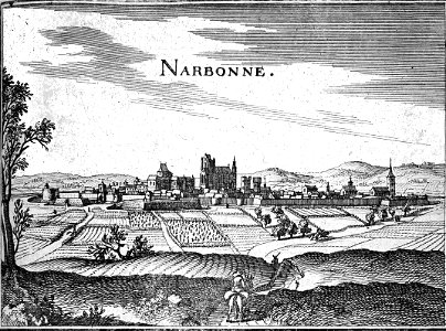 Narbonne 1657 Zeiller 15233