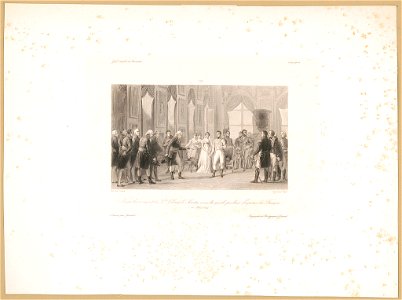 Napoleon recoit a St. Cloud le Senatus consulte qui le proclame empereur de Francais LCCN2003674479