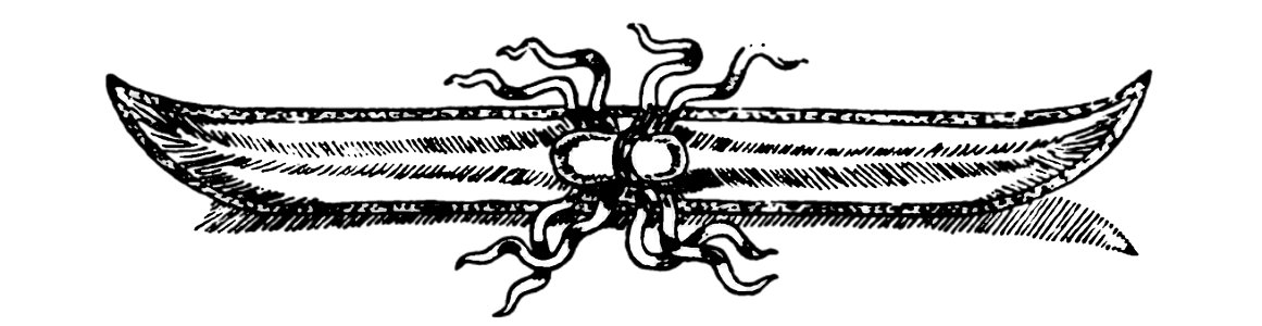 Nansen - À travers le Grönland, trad Rabot, 1893 (page 71 crop)