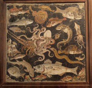 Naples Museum 6 (14972907048)