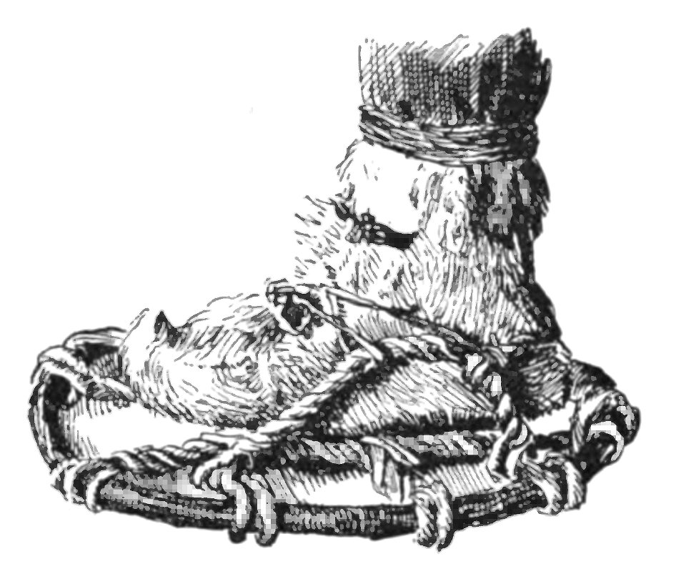 Nansen - À travers le Grönland, trad Rabot, 1893 (page 34 crop)