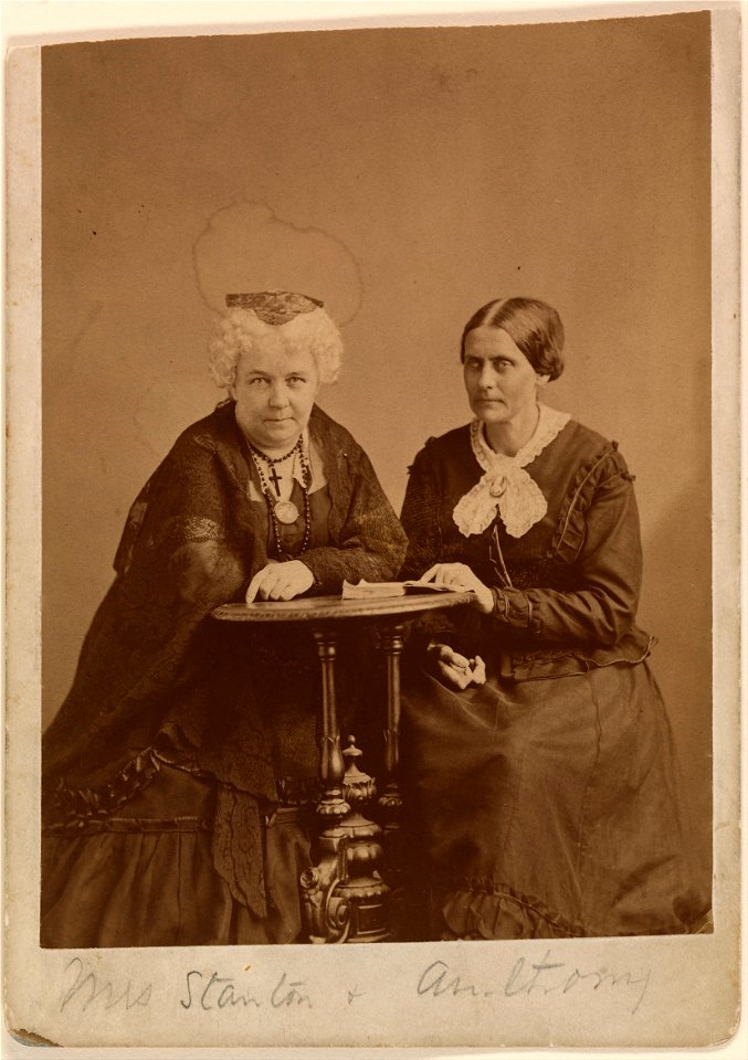 Napoleon Sarony - Elizabeth Cady Stanton and Susan B. Anthony - Google Art Project