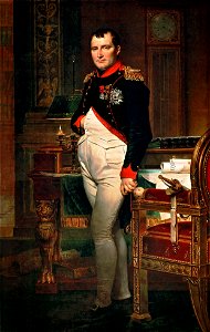 Napoleon-aux-tuileries