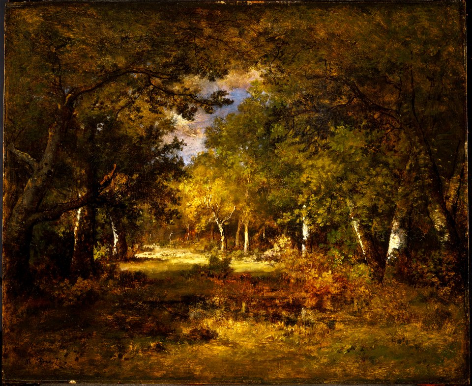 Narcisse-Virgile Diaz de la Peña - Forest Scene - Google Art Project