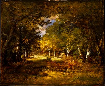 Narcisse-Virgile Diaz de la Peña - Forest Scene - Google Art Project