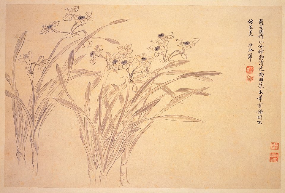 Narcissi - Yun Shouping