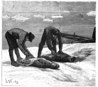 Nansen - À travers le Grönland, trad Rabot, 1893 (page 117 crop)