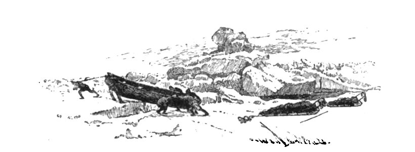 Nansen - À travers le Grönland, trad Rabot, 1893 (page 160 crop)