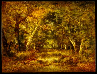 Narcisse-Virgile Diaz de la Peña - Autumn, Forest Interior - 69.83.2 - Minneapolis Institute of Arts