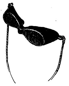Nansen - À travers le Grönland, trad Rabot, 1893 (page 40 crop)