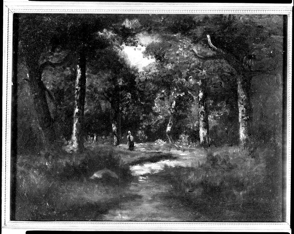 Narcisse Virgile Diaz de la Peña - Forest Landscape - 1965.564 - Fogg Museum
