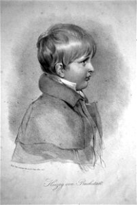 Napoleon II. Herzog von Reichstadt Litho