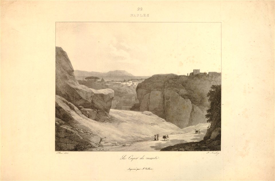 Naples - le Capo di Monti (BM 1920,0420.109)
