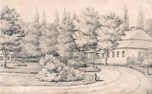Napoleon Orda - Pieniuha 1