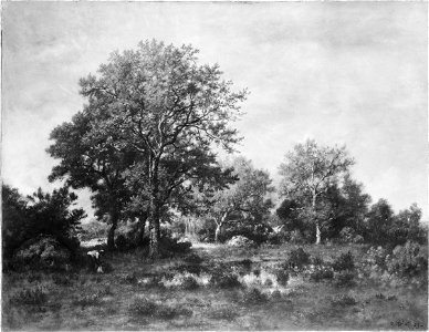 Narcisse Virgile Diaz de la Peña - Fontainebleau Forest - 1933.27 - Fogg Museum