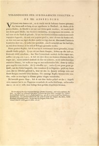 Metamorphosis insectorum Surinamensium - KW 1792 A 19 - 019