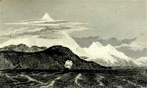 Narrative of the surveying voyages of His Majesty's Ships Adventure and Beagle between the years 1826 and 1836 (page 311 crop)