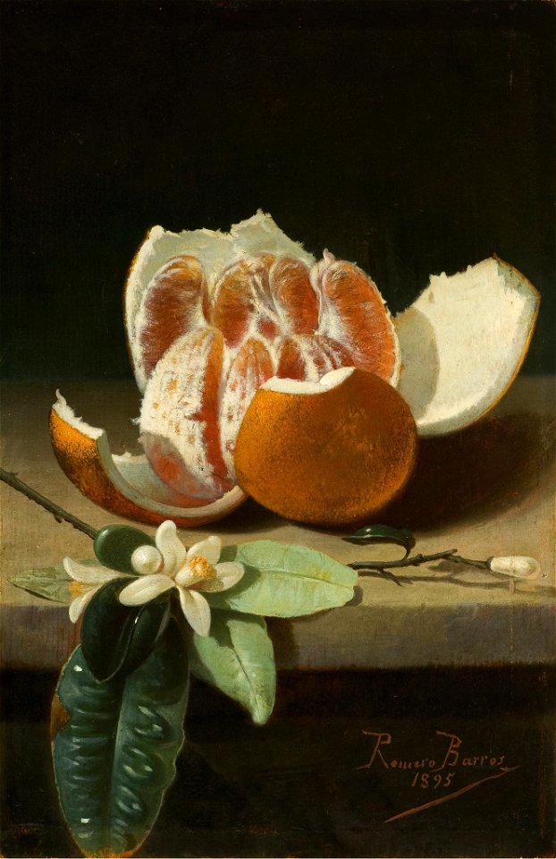 Naranja abierta y azahar - Rafael Romero Barros - MBACO