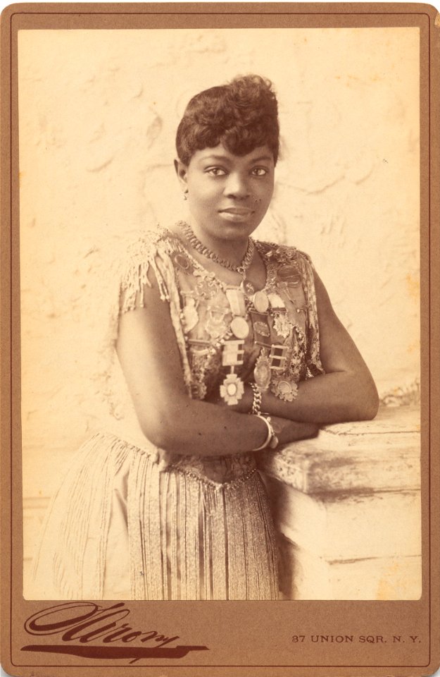 Napoleon Sarony - Sissieretta Jones - Google Art Project