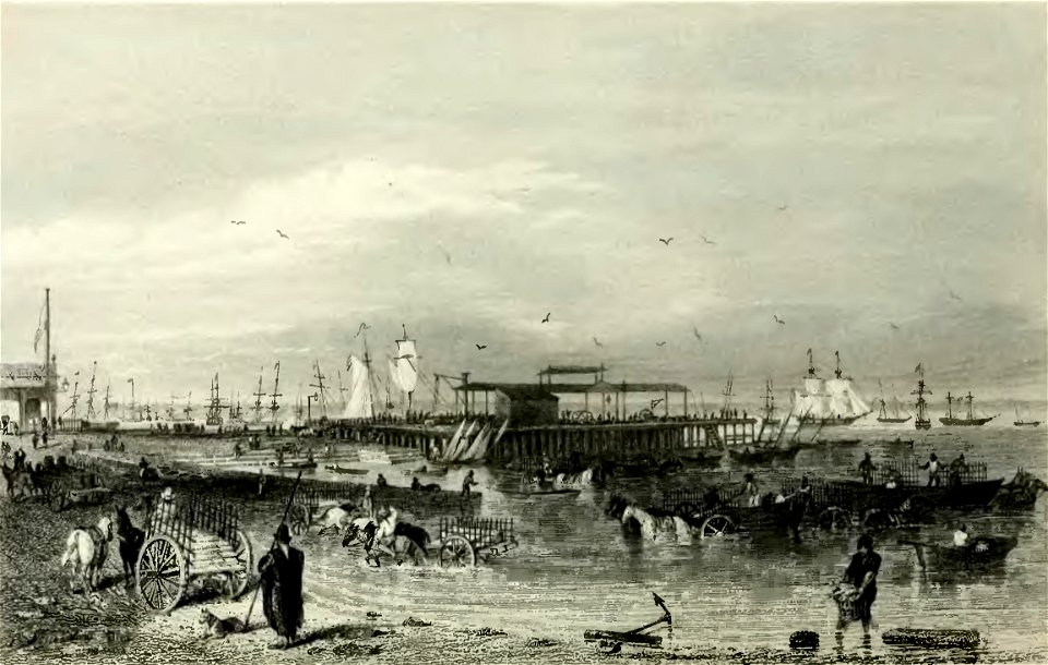 Narrative of the surveying voyages of His Majesty's Ships Adventure and Beagle between the years 1826 and 1836 (page 153 crop)
