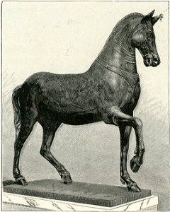 Napoli Museo Nazionale cavallo di bronzo
