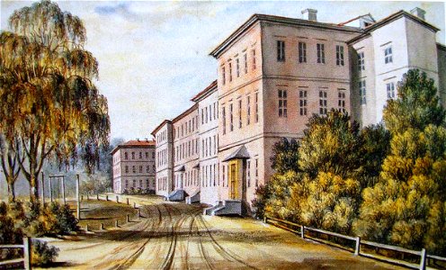 Napoleon Orda-Institute of Agriculture, Horki