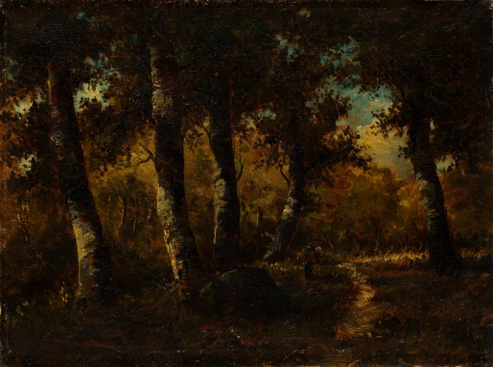 Narcisse Virgile Diaz de la Peña - Forest Landscape - 1972.24 - Fogg Museum