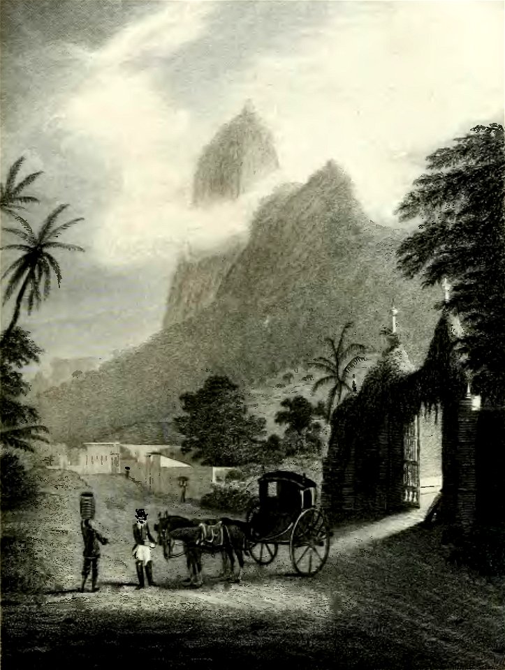 Narrative of the surveying voyages of His Majesty's Ships Adventure and Beagle between the years 1826 and 1836 (page 245 crop)