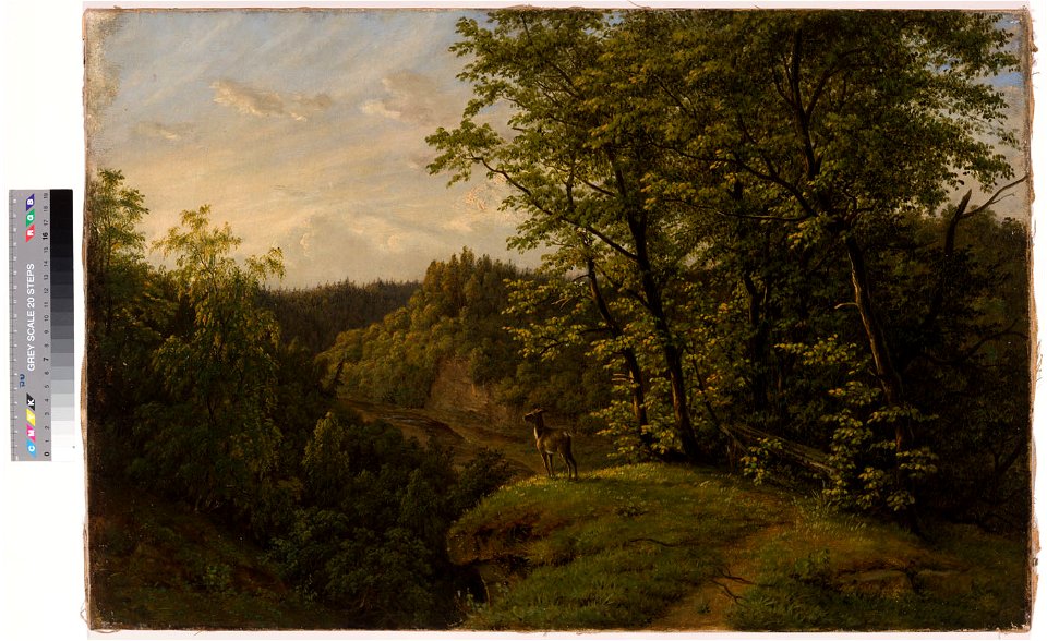 Metsamaastik (põdrapulliga), Hermann Eduard Hartmann, TKM TR 5443 M 929